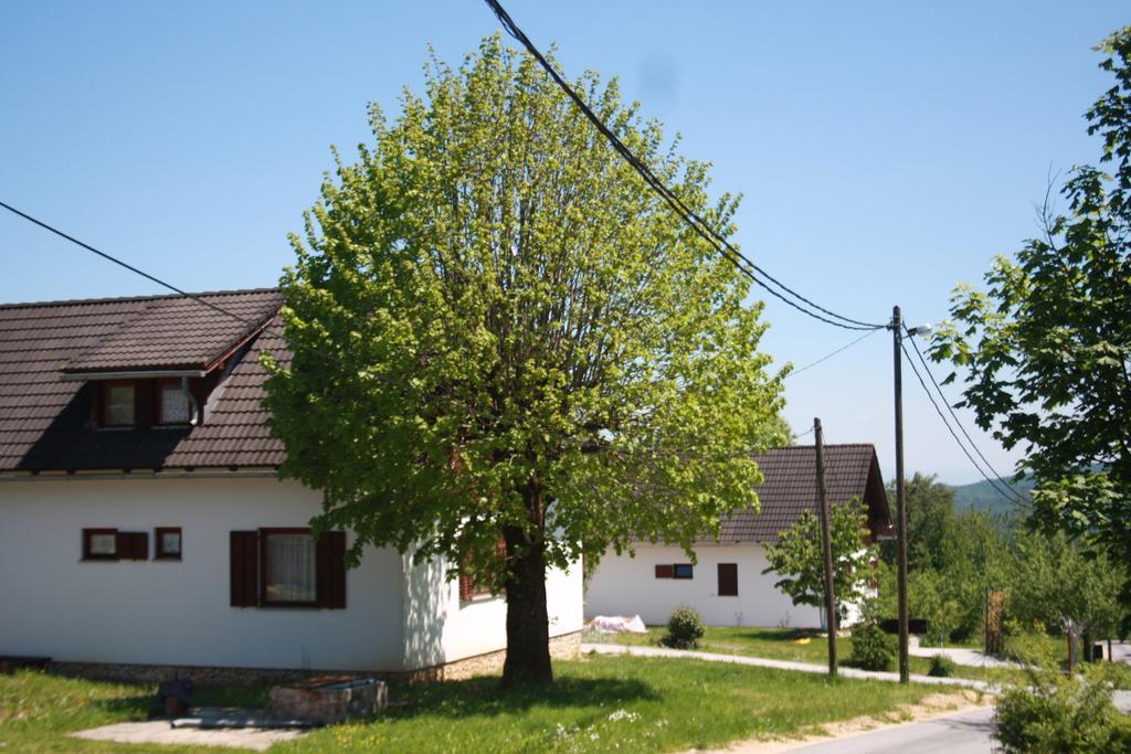 Vukovic Apartment Poljanak Exterior photo